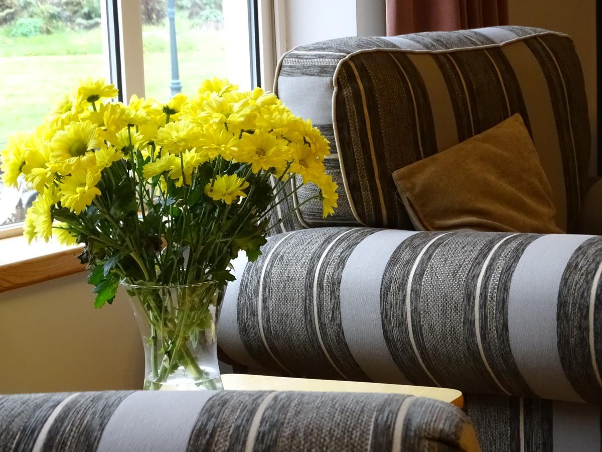 Pinewood Lodge Laragh Luaran gambar